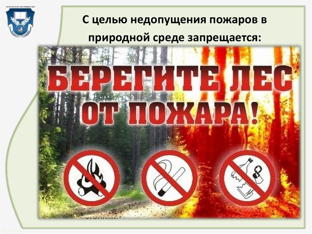 С целью недопущения пожаров в природной среде запрещается: