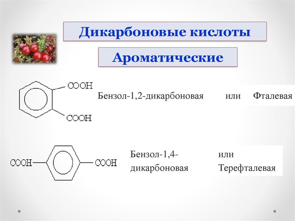 Бензол 1 2 дикарбоновая кислота. Фталевой и терефталевой кислоты. Бензол терефталевая кислота. Терефталевая кислота из бензола. 2 5 Дигидроксибензойная кислота.