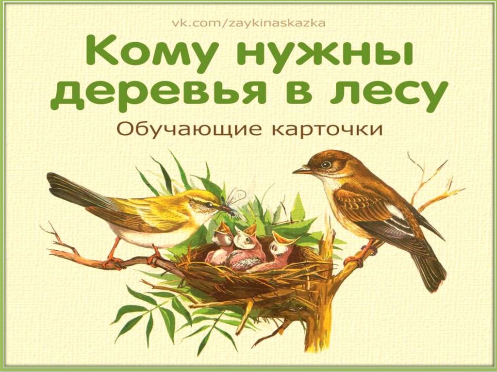 Для чего нужны деревья. Кому нужны деревья. Картинки кому нужны деревья. Картинки кому нужны деревья в лесу. Кому нужны деревья в лесу картинки для детей.