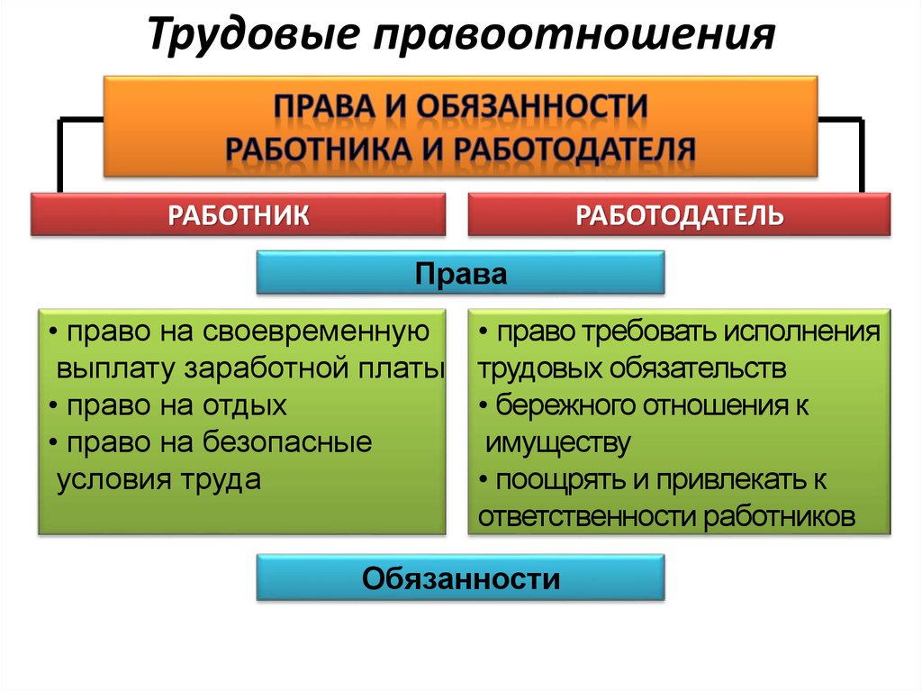 Основы трудовых правоотношений в рф план по обществознанию