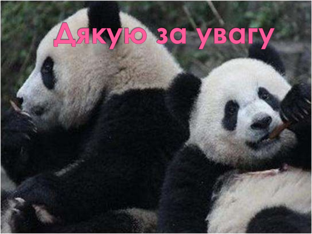 Дякую за увагу