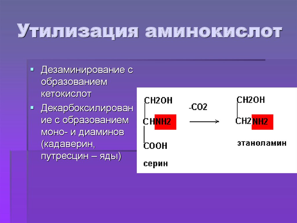 Происхождение аминокислот. Утилизация аминокислот. Пути утилизации аминокислот. Пути утилизации аминокислот биохимия. Обезвреживание аминокислот.