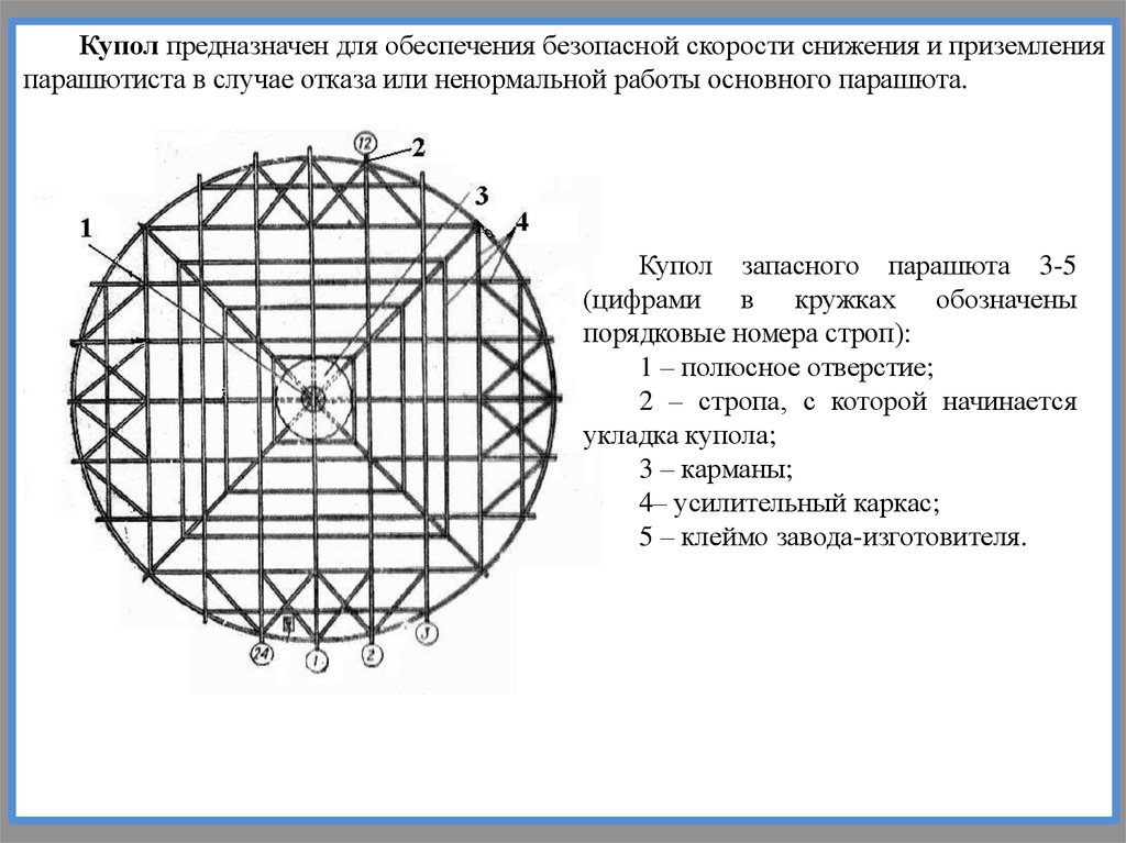 Парашют д6 сколько строп