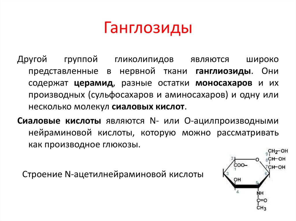 Широко представлено