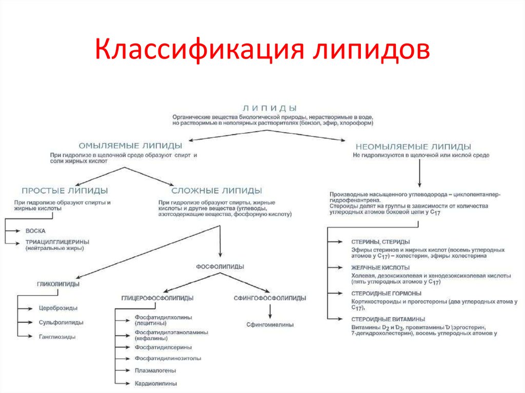 Проанализируйте таблицу классификация липидов. Классификация липидов схема. 2. Классификация липидов. Классификация липидов биохимия. Химическая классификация липидов биохимия.