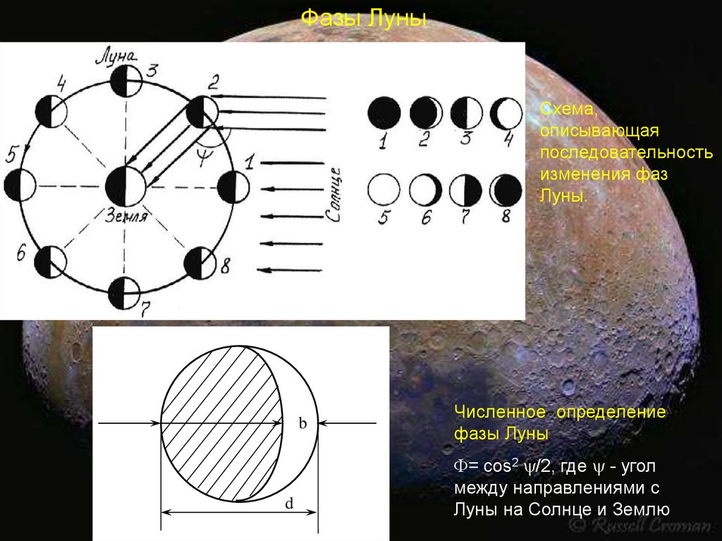 Последовательность изменения строения. Фазы Луны. Фазы Луны схема. Схема изменения фаз Луны. Схема смены фаз Луны.
