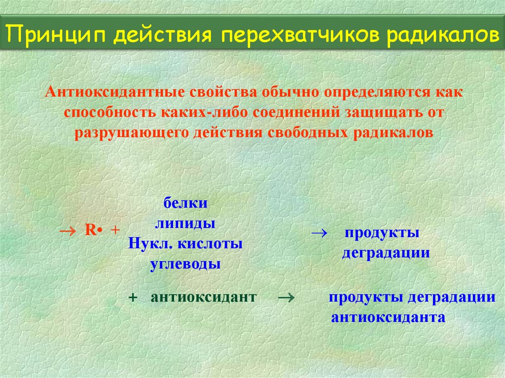 Общество радикалов