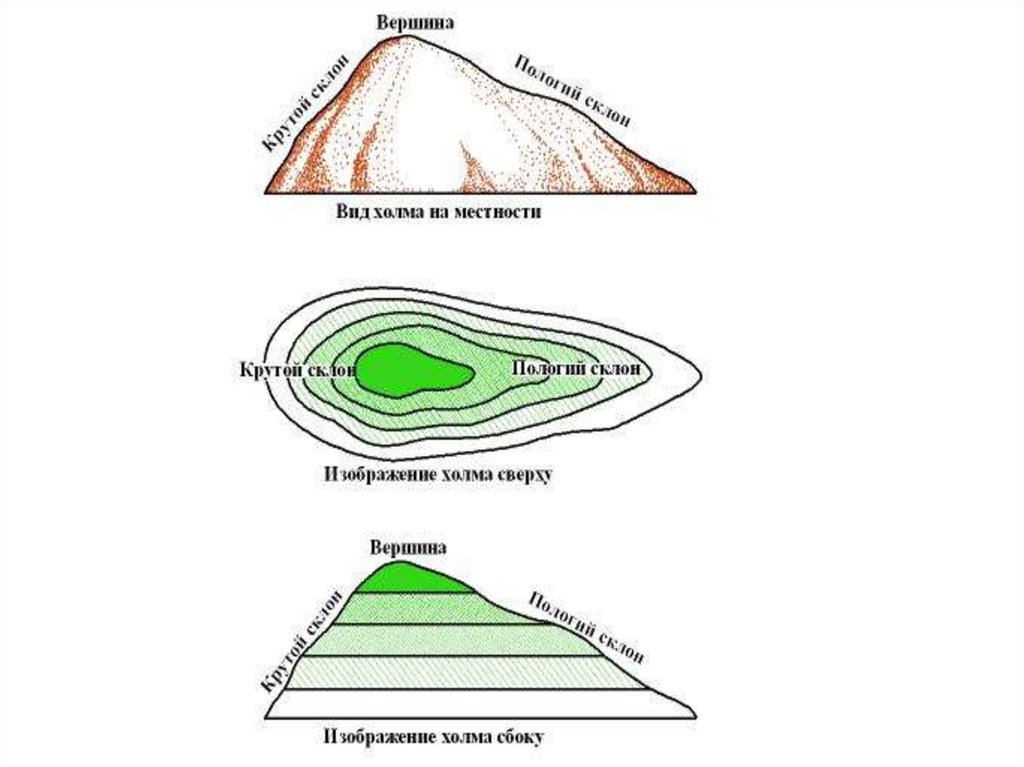 Высота холмов. Топографическая карта холма 5 класс. Форма рельефа холма. Абсолютная высота холма на топографической карте. Форма рельефа холм на карте.