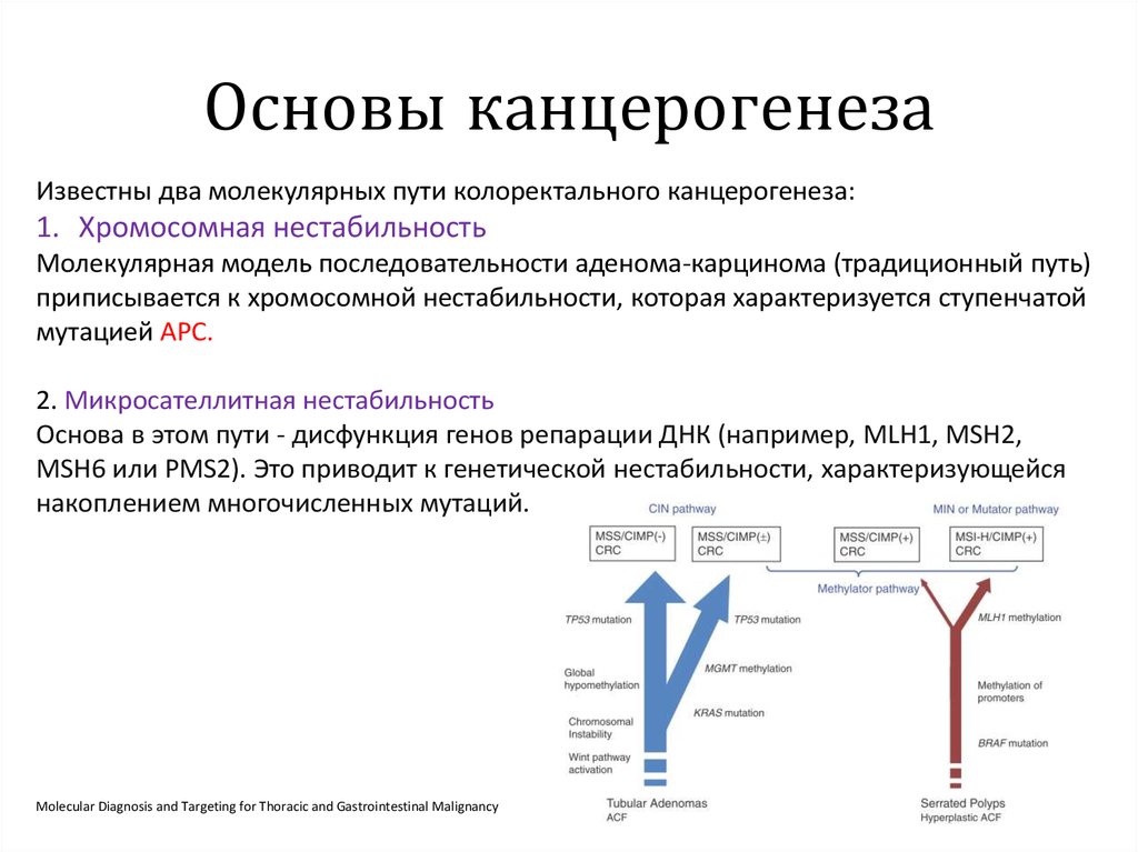 Молекулярный путь