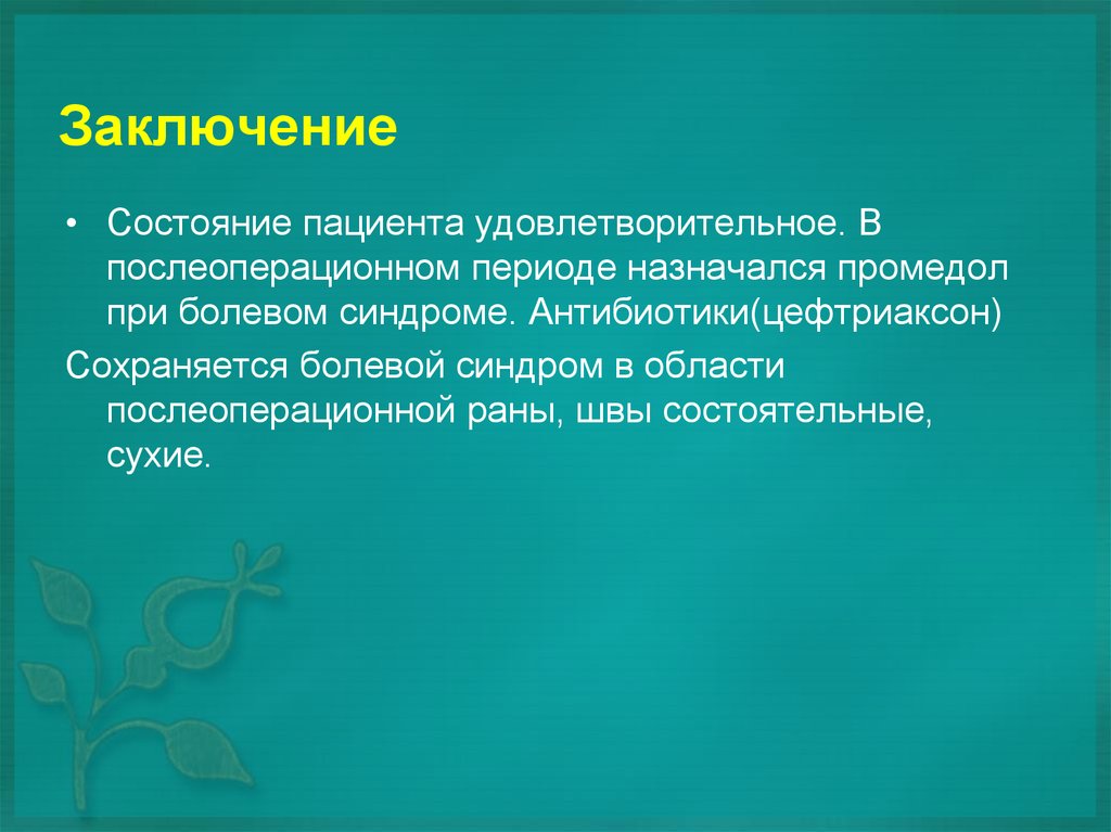 Заключение