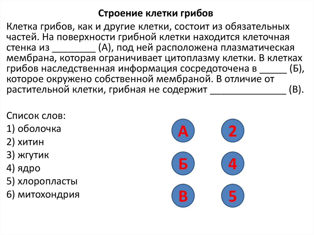 Какими буквами обозначены изображения гладкой мышечной ткани впр по биологии