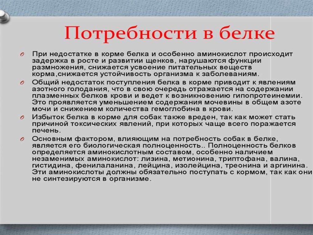 Потребность белка. Потребности собаки. Базовые потребности собаки. Потребность щенка в белке. Недостаток кормового белка.