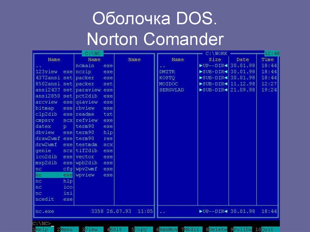 Norton commander dos. Операционная система Norton Commander. Оболочки ОС MS dos. Программы оболочки Norton Commander. Интерфейс программы оболочки Norton Commander.
