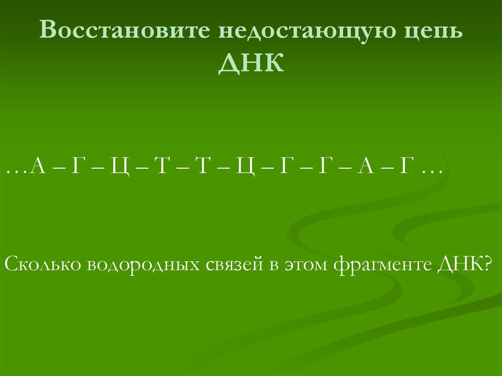 Водородные связи в цепи днк. Восстановите недостающую цепь ДНК. Цепочки восстановления ДНК. Первая цепь ДНК аатгац восстановите недостающую цепочку. Восстановить вторую цепочку ДНК.