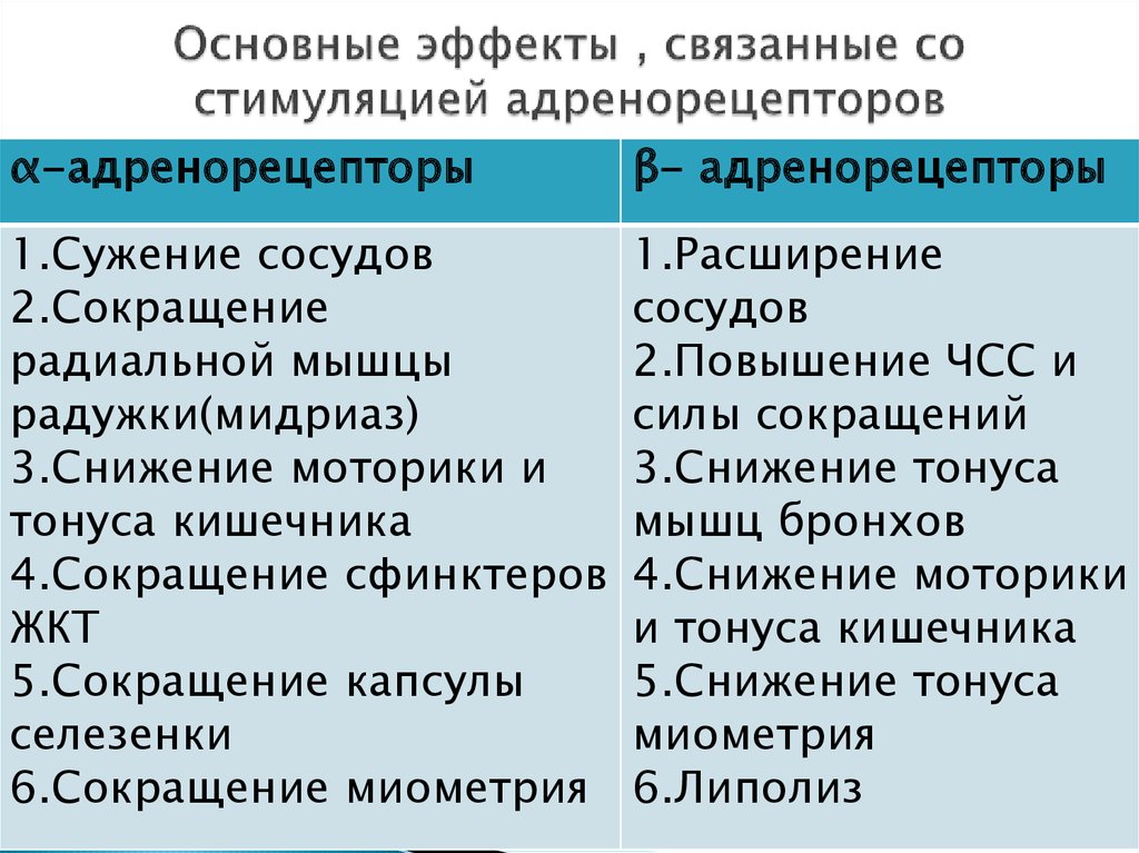 Действие возбуждения. Эффект стимуляции бета2-адренорецепторов. Эффекты связанные с возбуждением бета адренорецепторов. Какие эффекты связаны с возбуждением Альфа-адренорецепторов. Эффекты стимуляции альфа1-адренорецепторов.