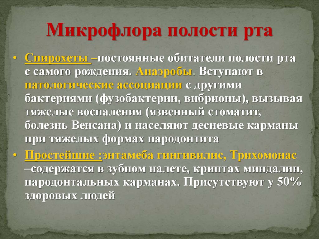 Микрофлора полости. Микрофлора полости рта спирохеты. Микрофлора полости рта анаэробы. Спирохеты в ротовой полости.