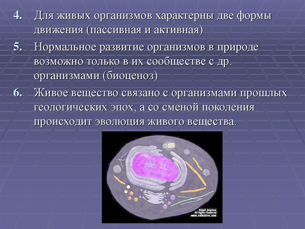 Образование веществ в живом организме