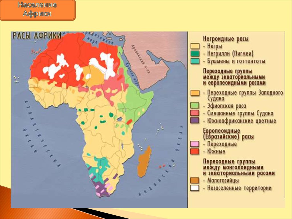 Охарактеризуйте население страны по плану численность расовый состав наиболее многочисленные народы