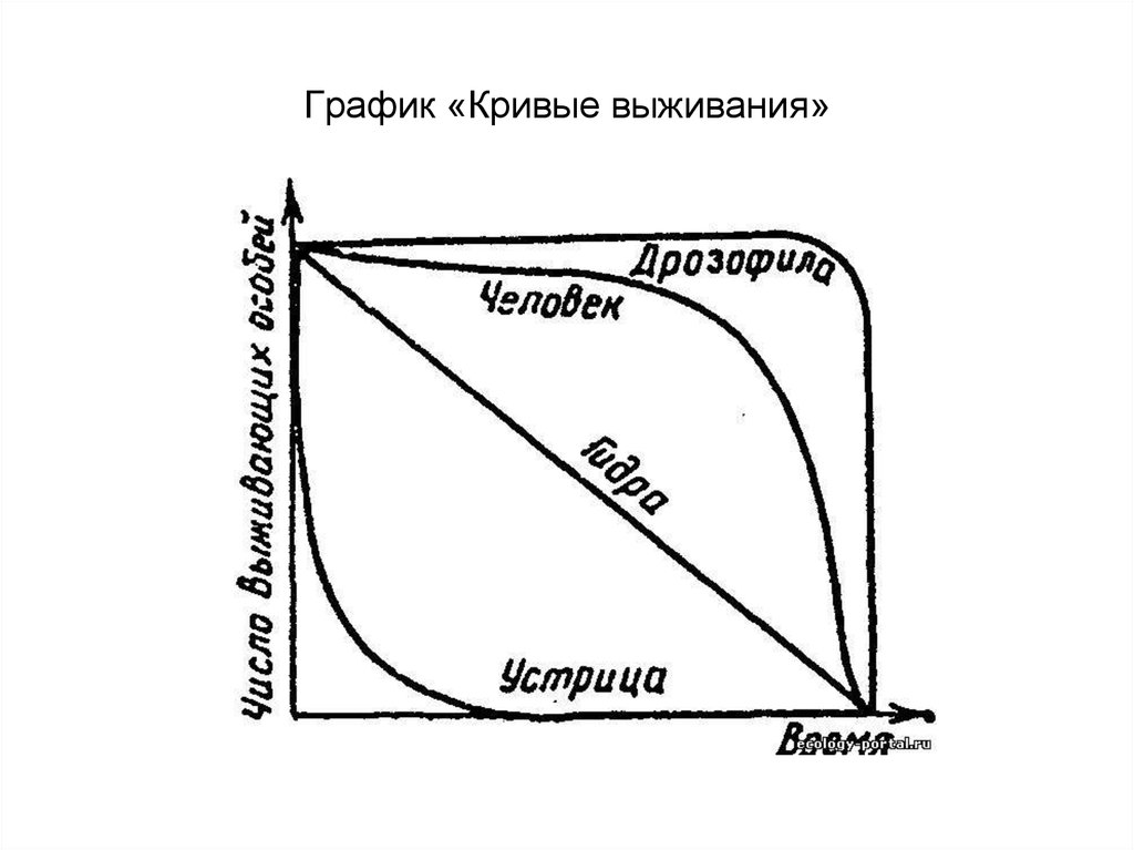 График кривой. Кривые выживания типы. Кривые выживания это в экологии. Типы кривых выживания экология. Кривая выживания 1 типа.