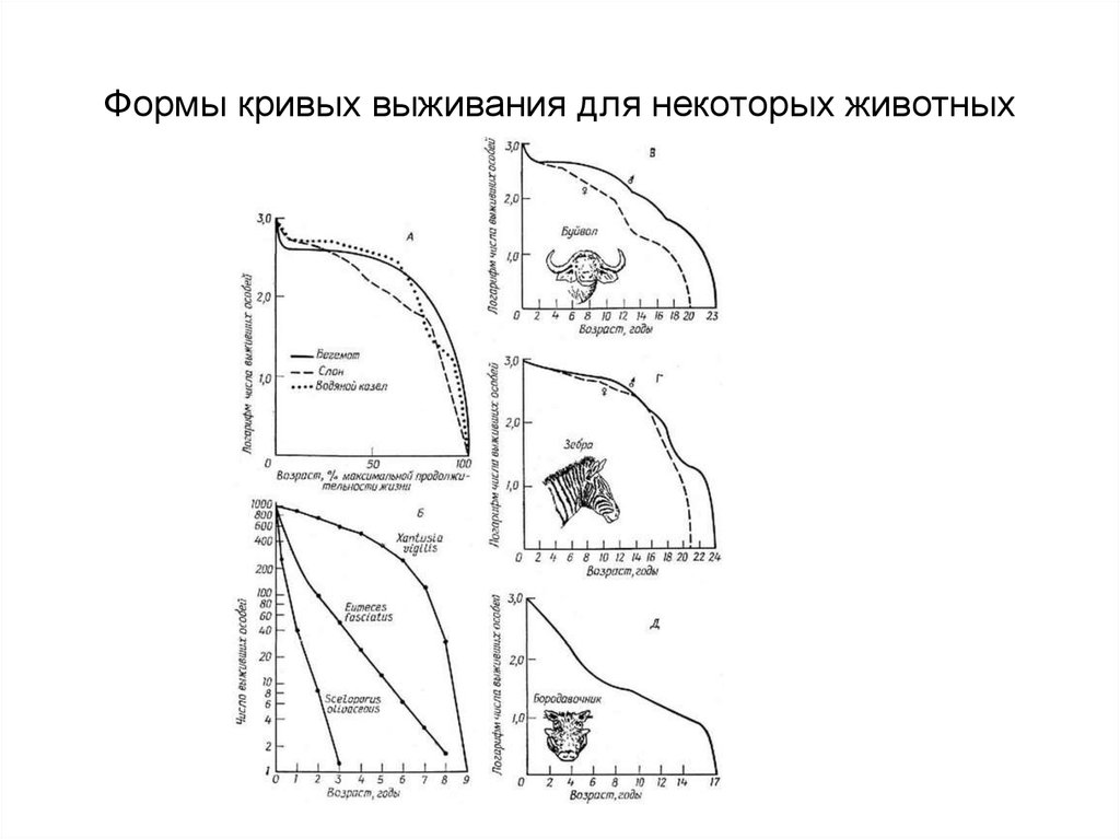 Форма кривая. Форма Кривой выживания. Формы кривых. Диагональная кривая выживания. Примеры популяций с разными кривыми выживания.