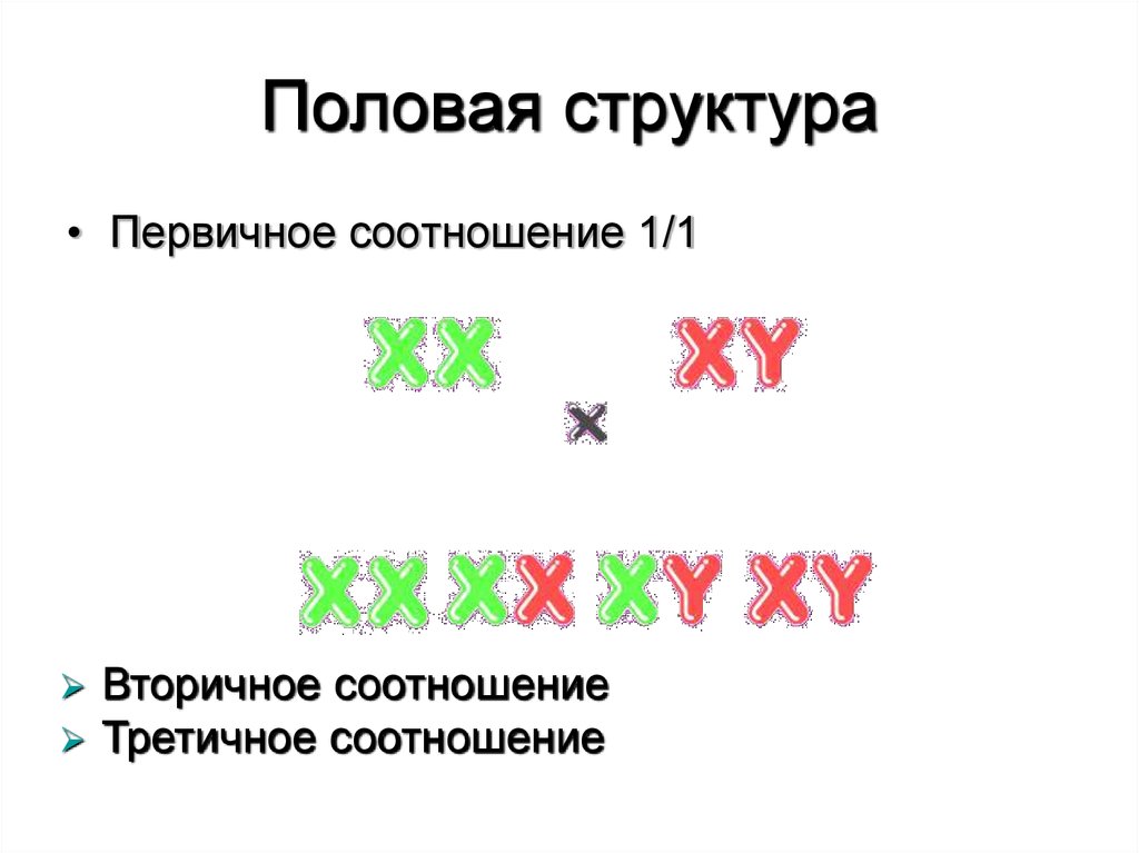 Половая структура. Половая структура популяции. Половая структура в экологии. Первичное вторичное и третичное соотношение полов. Половая структура биология.