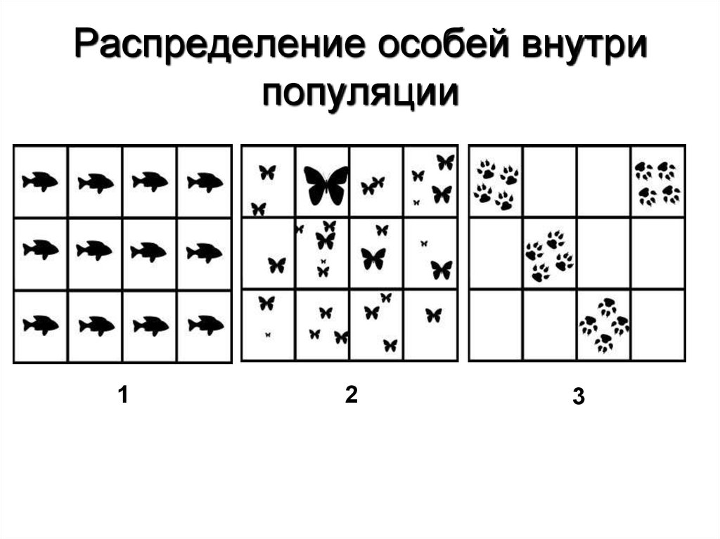 Тип пространственного распределения особей популяции представленный на рисунке характеризуется как