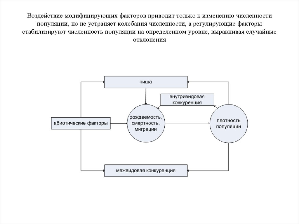 Факторы популяции. Регулирующие факторы популяции. Факторы регулирующие численность популяции. Модифицирующие факторы в экологии. Факторы регулирующие численность и плотность популяции.