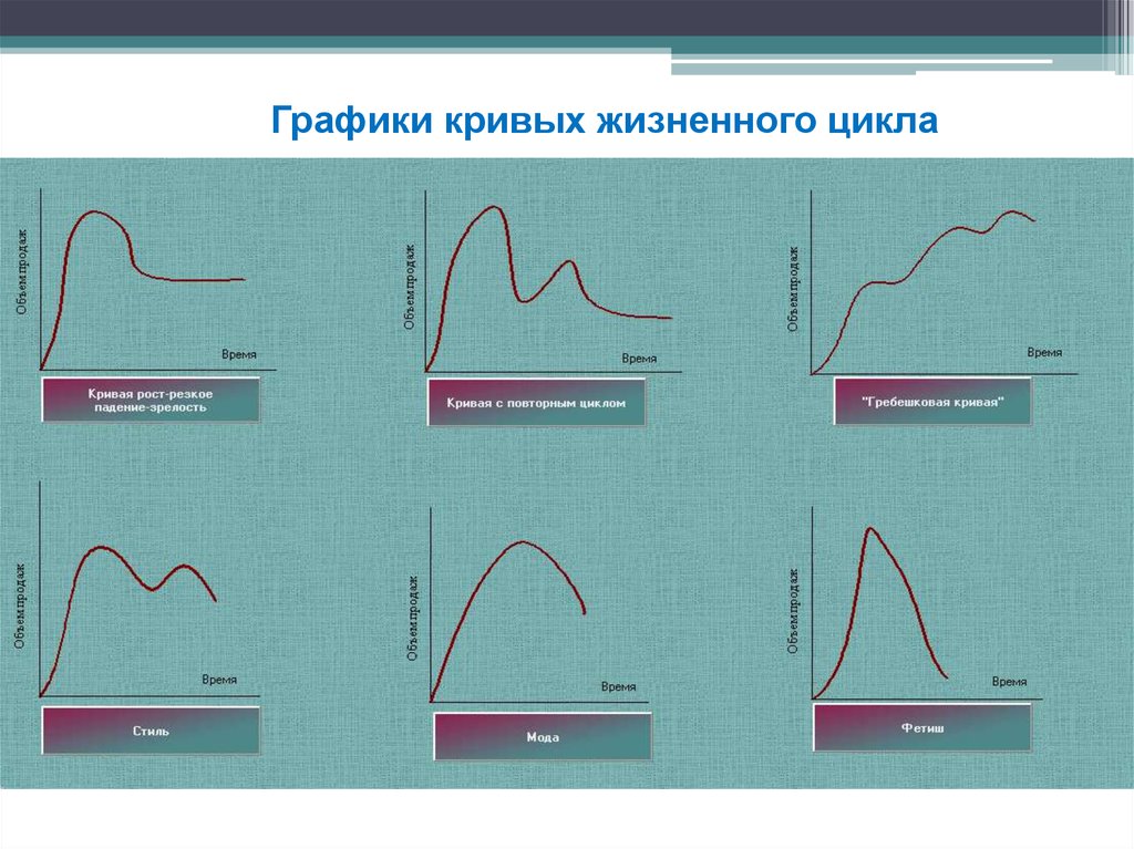 График кривой. График кривых. Кривая Графика. Кривая жизненного цикла график. Названия кривых в графиках.