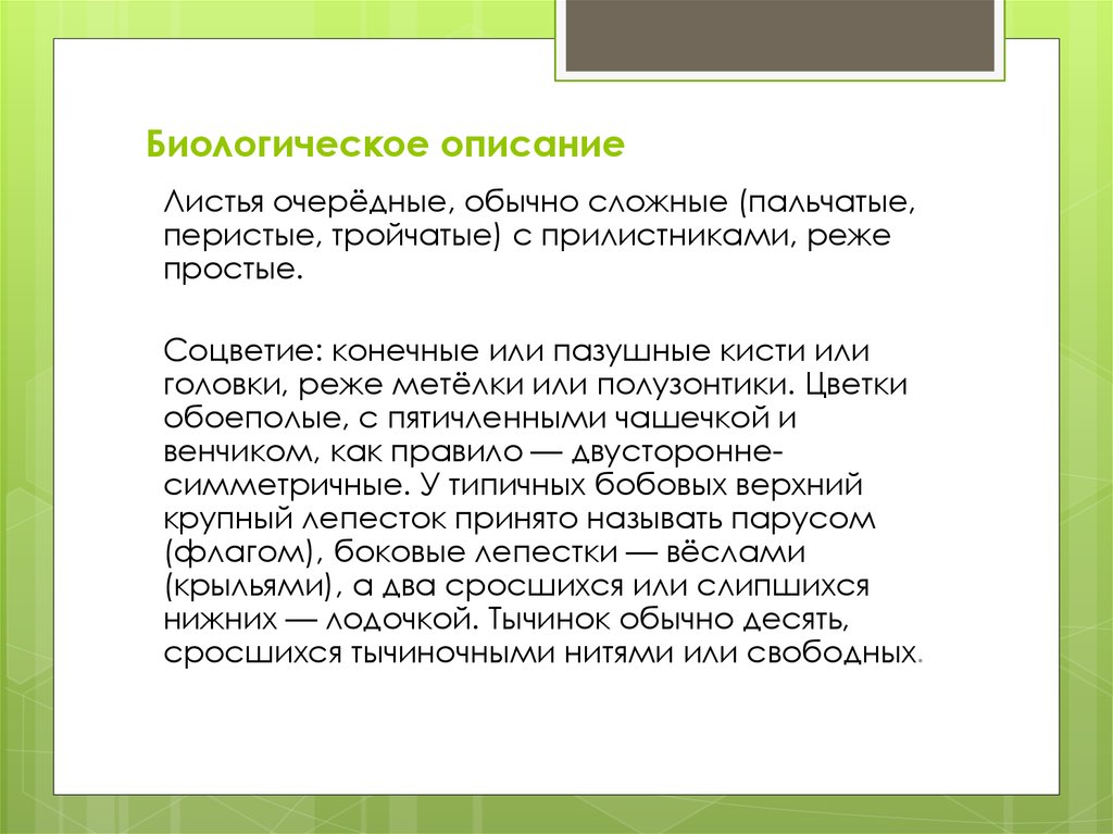 Биолог описание. Биологическое описание. Описание биологического процесса в листе.