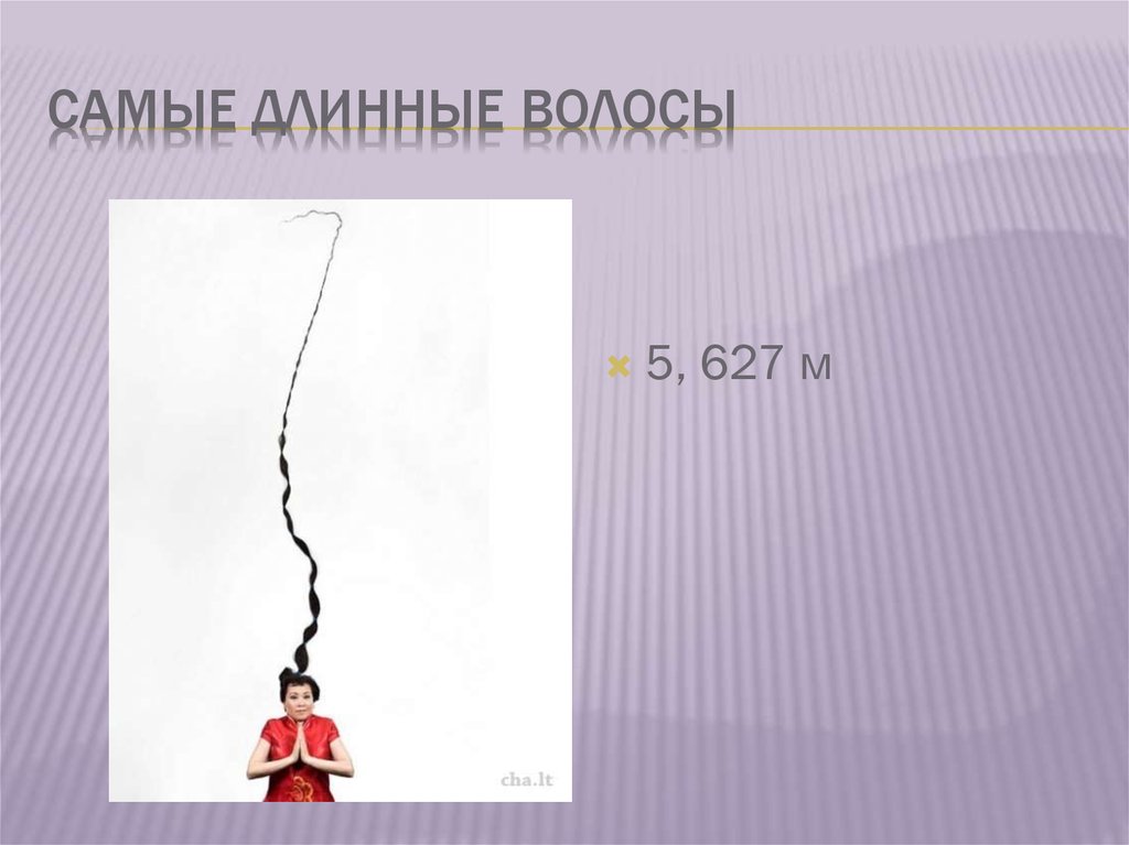 Самые длинные волосы