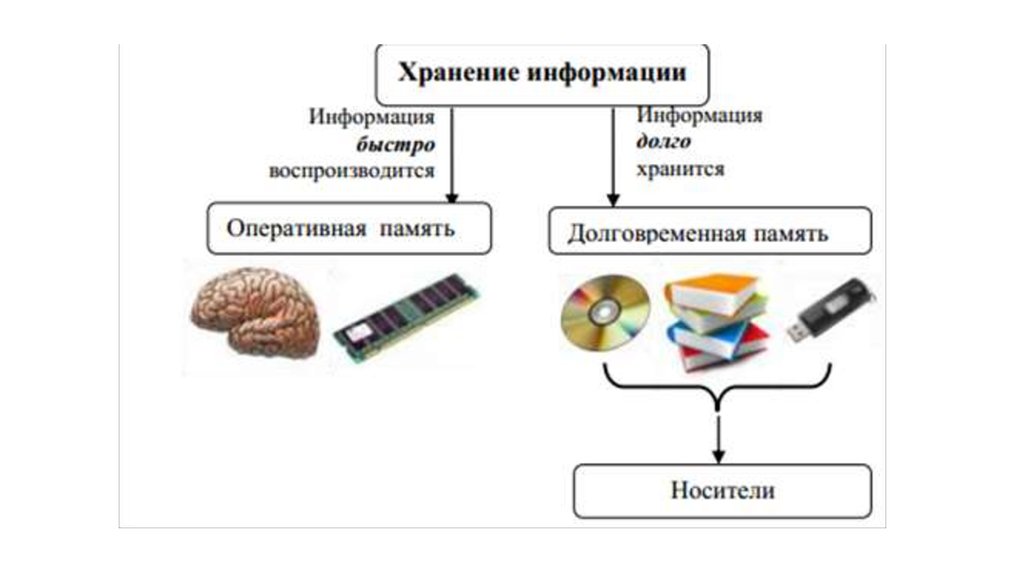 5 хранение информации. Схема хранения информации. Заполните таблицу хранение информации. Схема хранения информации Информатика 5. Заполните схему хранение информации Информатика 5.