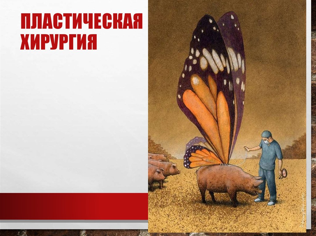 Пластическая хирургия
