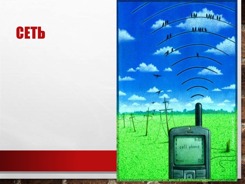 сеть