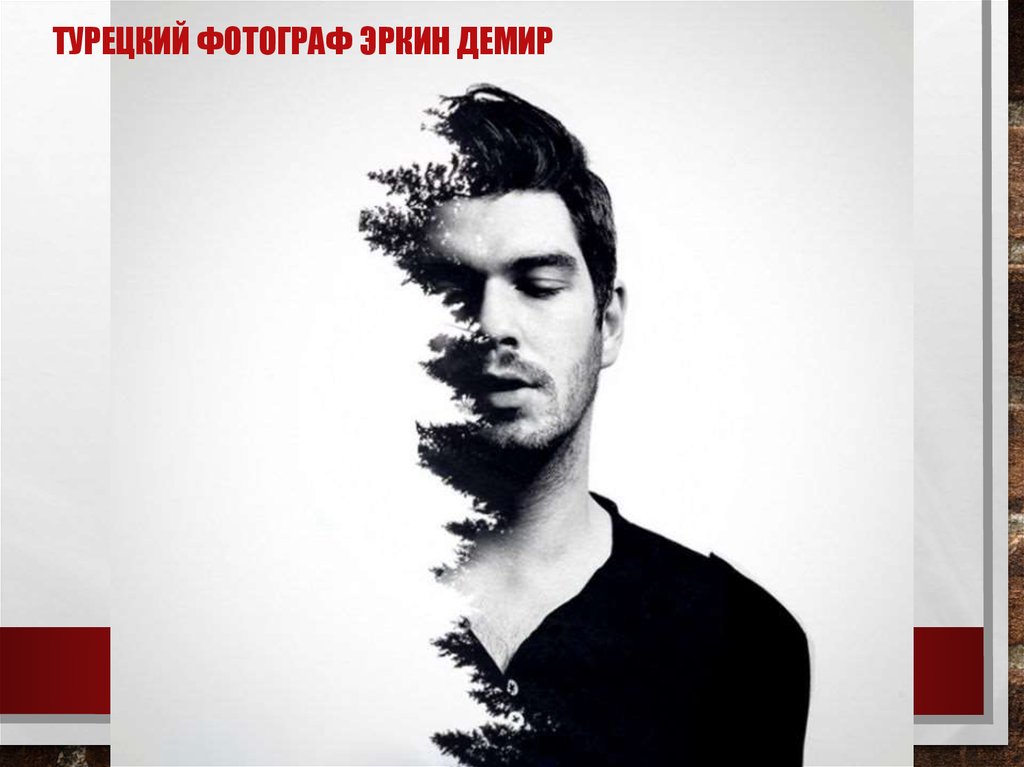 Турецкий фотограф Эркин Демир