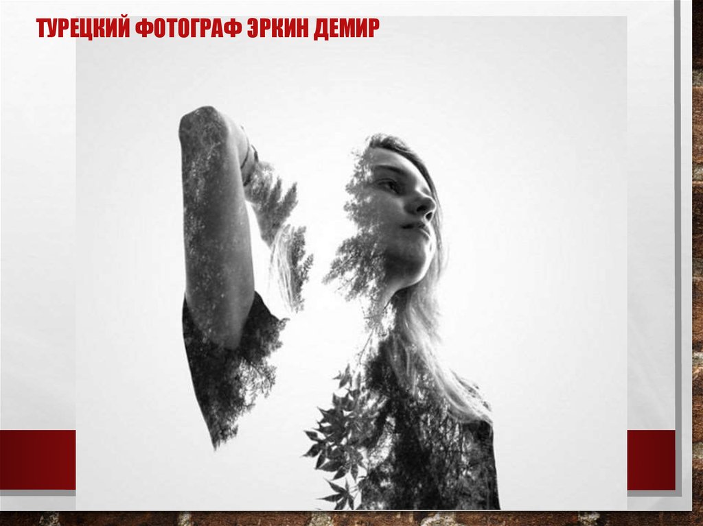 Турецкий фотограф Эркин Демир