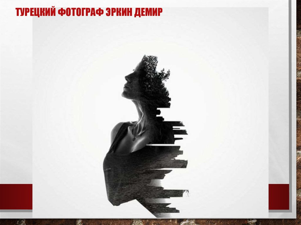 Турецкий фотограф Эркин Демир