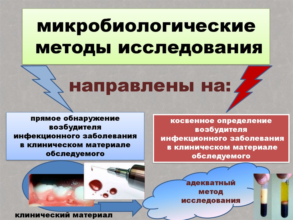 Общая схема лабораторной диагностики инфекционных заболеваний бактериальной этиологии