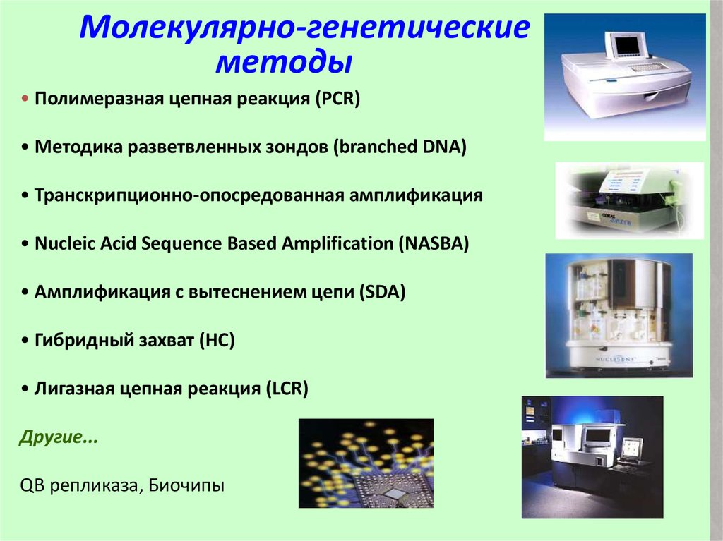 Молекулярно генетический метод картинки