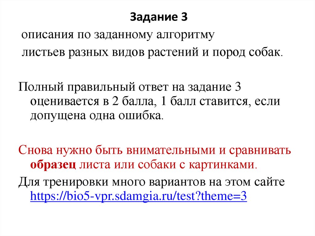 Впр 5 класс разбор заданий. Описание листьев по алгоритму. Загадка на алгоритмике с листиком м=ф ,,,.