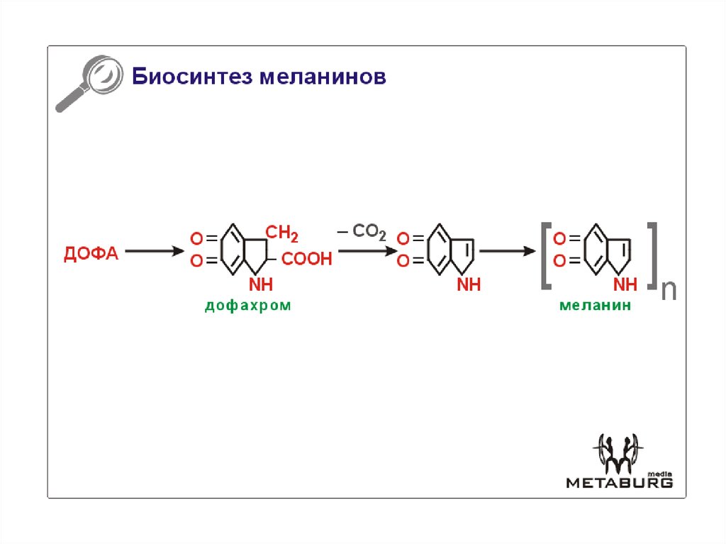 Схема синтеза меланина