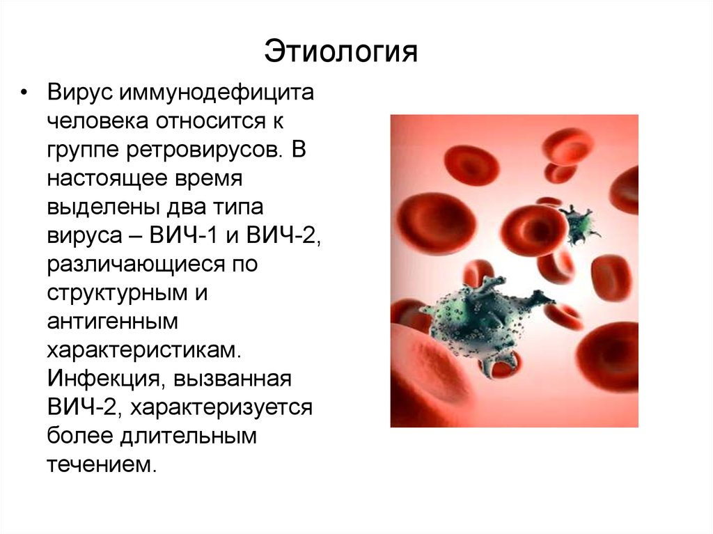 Кровь на иммунодефицит