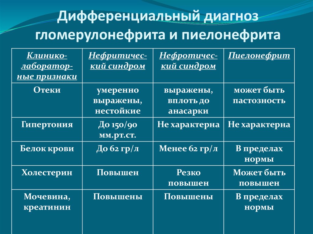 Гломерулонефрит и пиелонефрит презентация