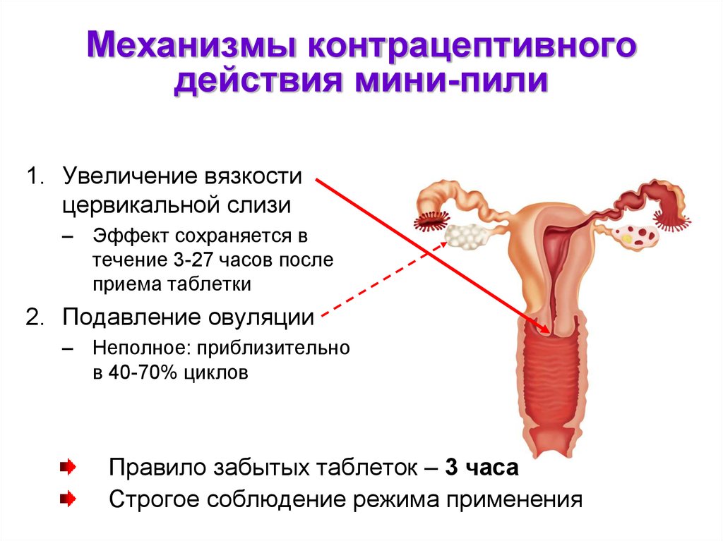 Почему после з. Механизм действия мини пили. Гормональная контрацепция мини пили. Механизм действия контрацептивных гормональных препаратов. Схема действия комбинированных оральных контрацептивов.