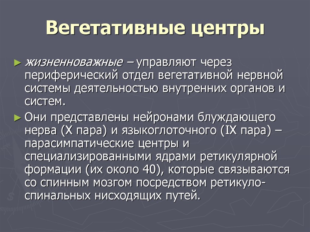 Вегетативные функции. Вегетативные центры. Высшие вегетативные центры. Высшие вегетативные нервные центры. Высшие вегетативные центры и их функции.