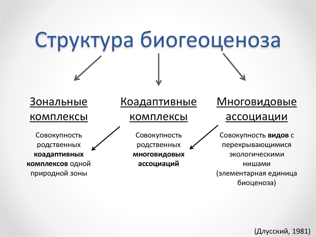 Зональные компоненты природных комплексов