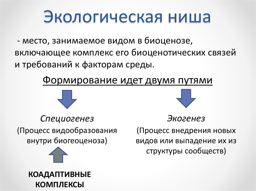 Экологическая ниша факторы среды