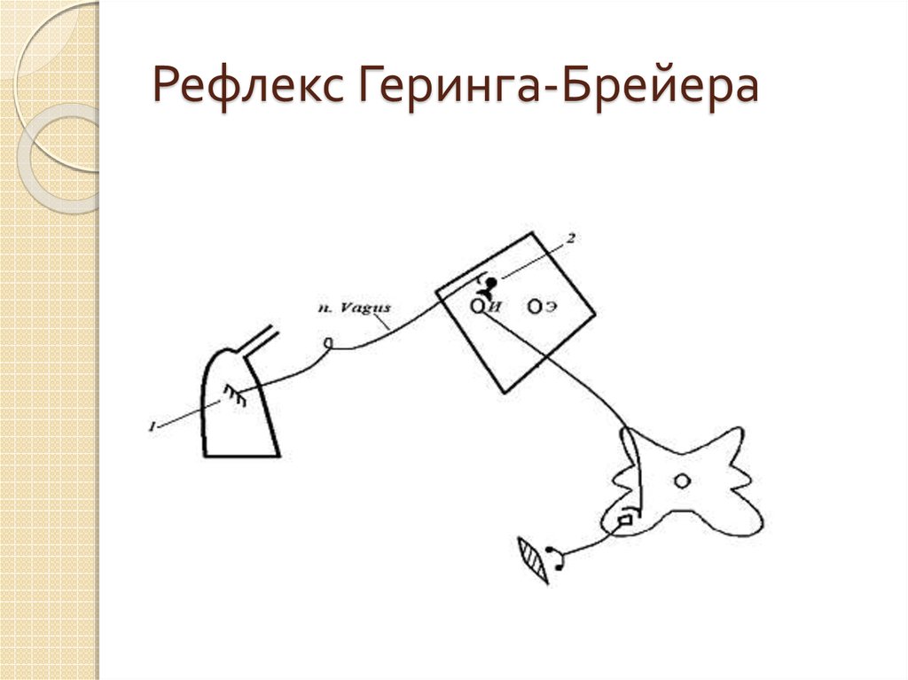 Рефлекторное дыхание