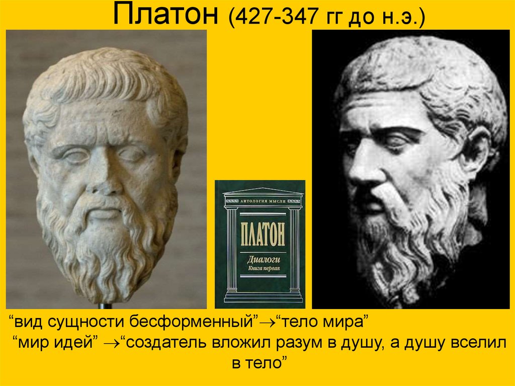Платон 427 347 г.г до н.э. Платон (427- 347 до н.э.). Платоном (427-347 годы до н.э.).. Платон 427- 347 до н.э фото. Чем характеризуется биология в античный период