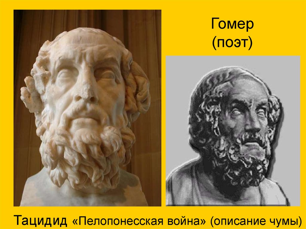 Гомер поэт. Эпоха Гомера. Античный период в биологии. Портрет Гомера эллинизм. Гомер поэт нейросеть.