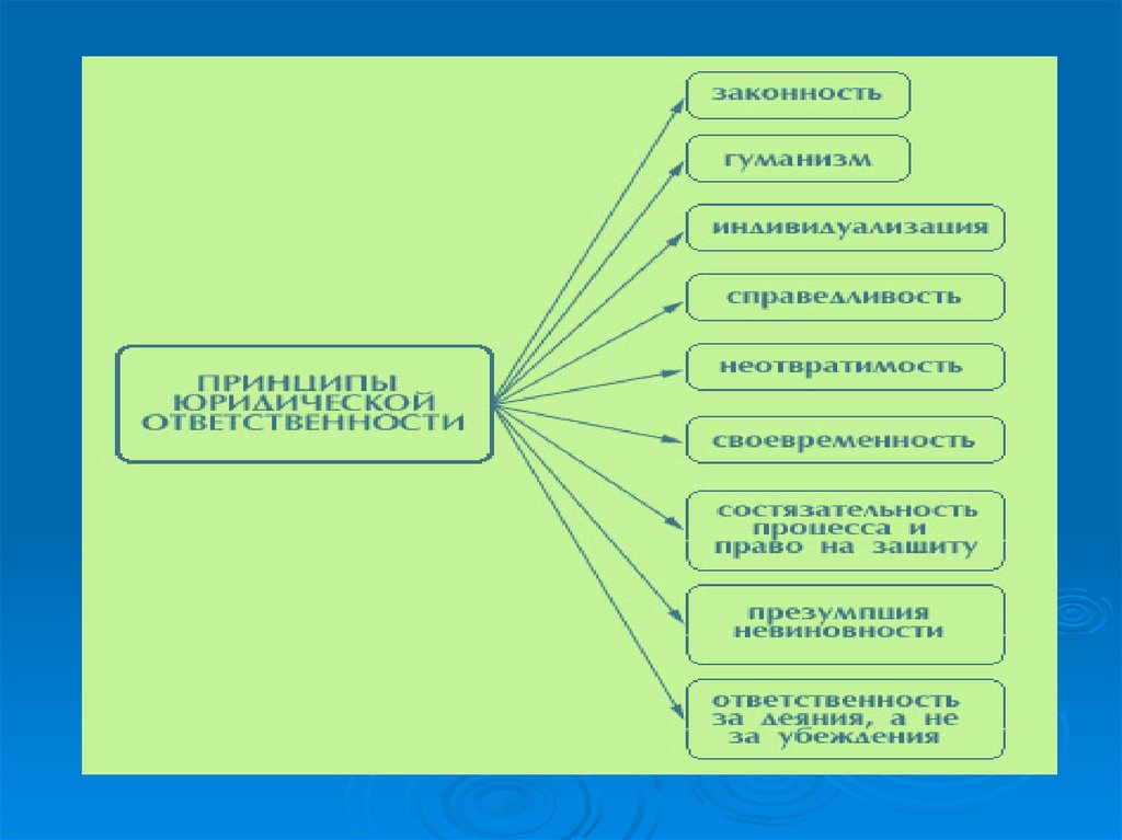 Схема принципы юридической ответственности